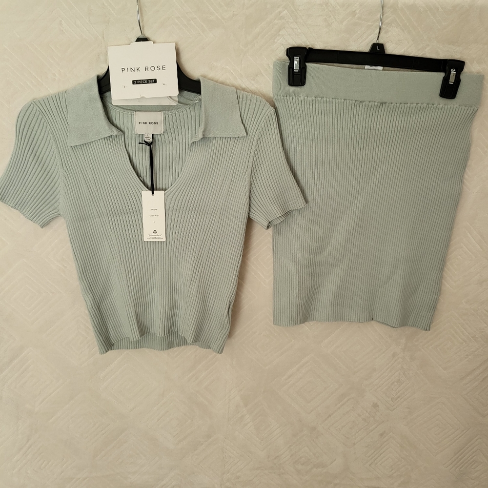 Pink Rose 2 pieces set top and skirt Juniors size Large,sage Mint